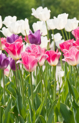 Similar image 833137