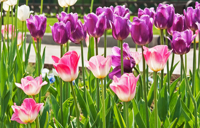 Similar image 833138