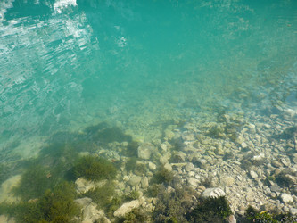 Similar image 833169