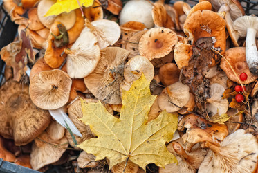 Similar image 833178