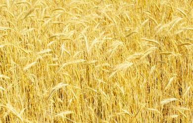 Similar image 833181