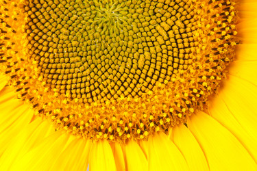 Similar image 833186