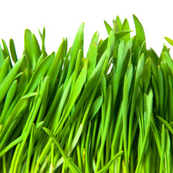 Similar image 833193