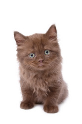 Similar image 833247