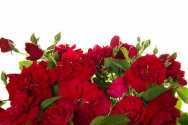 Similar image 833253