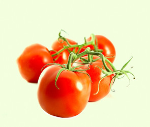 Similar image 833254