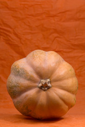 Similar image 833256