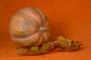 Similar image 833257