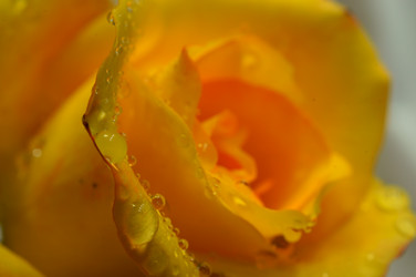 Similar image 833271