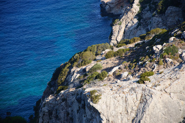 Similar image 833277