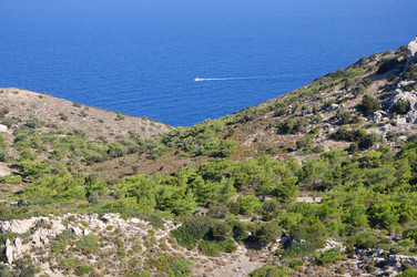 Similar image 833280