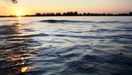 Similar image 833335