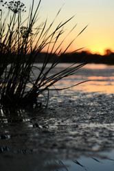 Similar image 833338