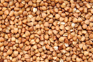 Similar image 833340