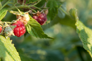 Similar image 833344