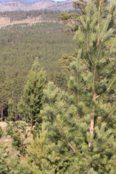 Similar image 833360