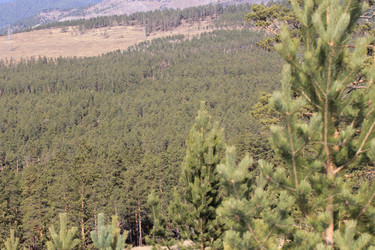 Similar image 833362