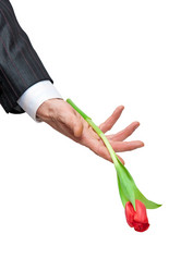 Similar image 833376