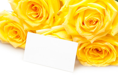 Similar image 833379