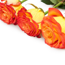 Similar image 833380