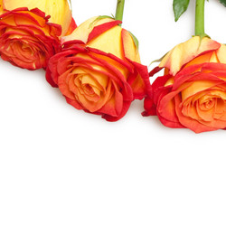 Similar image 833381