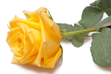 Similar image 833382