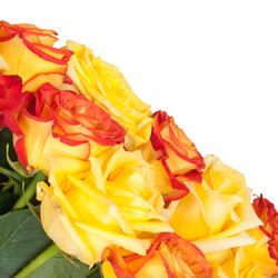 Similar image 833383