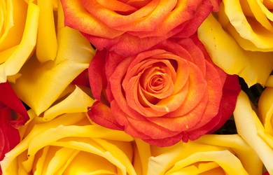 Similar image 833384