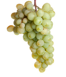 Similar image 833391