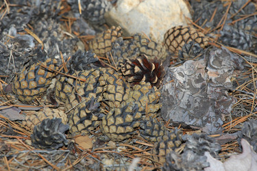 Similar image 833397