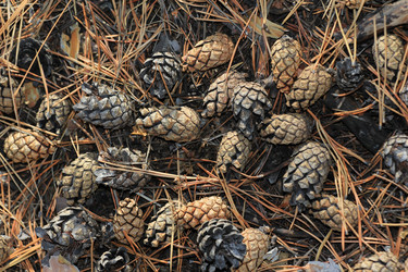 Similar image 833398