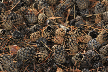 Similar image 833399