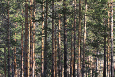 Similar image 833400