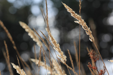 Similar image 833402