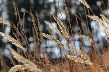 Similar image 833403