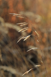 Similar image 833404