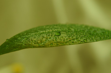 Similar image 833426