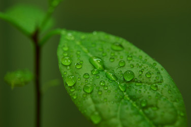 Similar image 833427