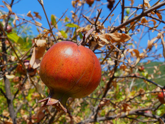 Similar image 833429