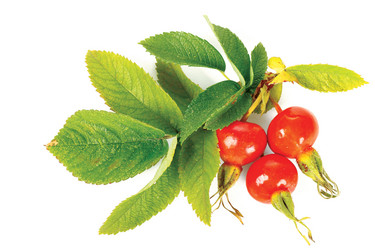 Similar image 833436