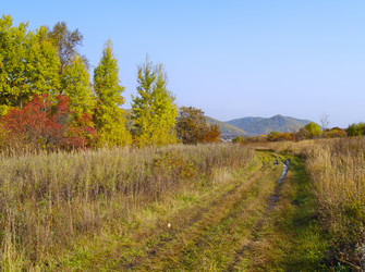 Similar image 833444