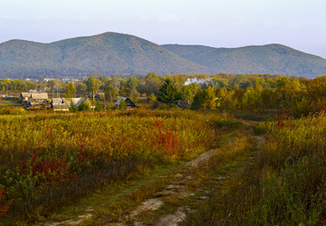 Similar image 833445