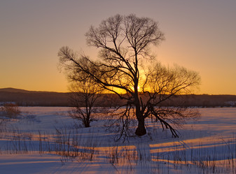 Similar image 833446