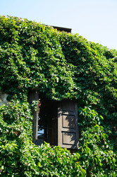 Similar image 833450