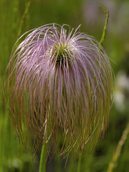 Similar image 833451