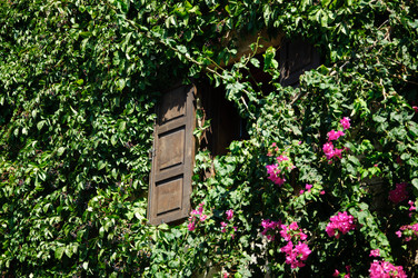 Similar image 833454