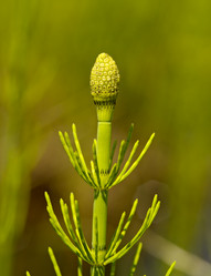 Similar image 833455