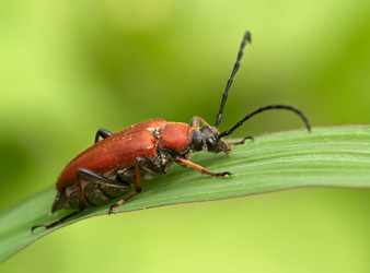 Similar image 833457