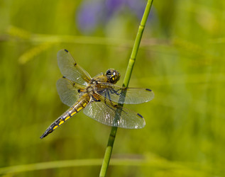 Similar image 833458