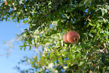 Similar image 833464